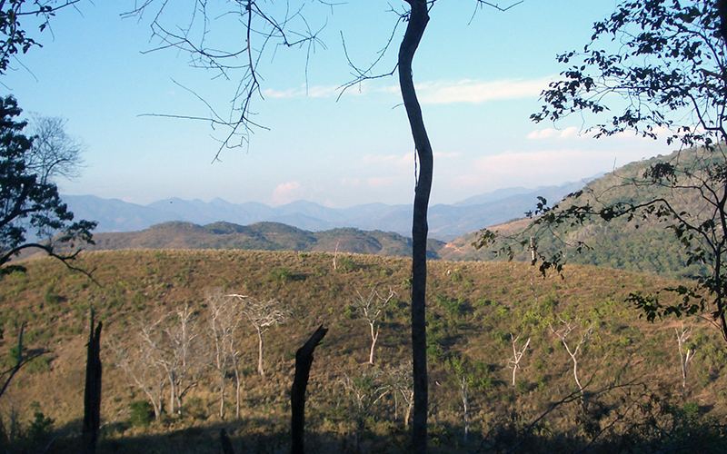 Land For Sale Troncones